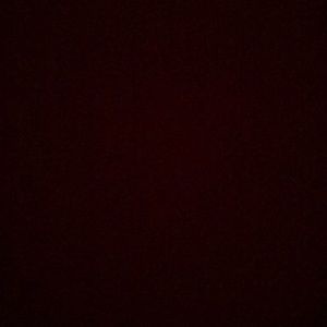 Meet your Posher, Zach